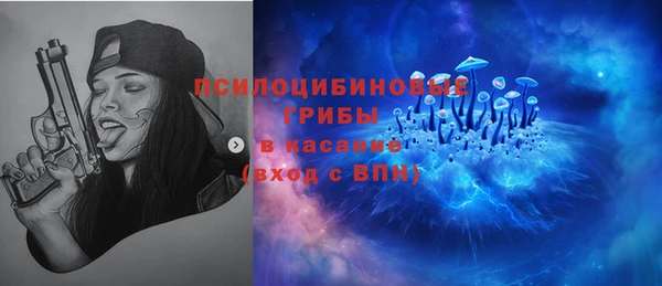 спиды Каменногорск
