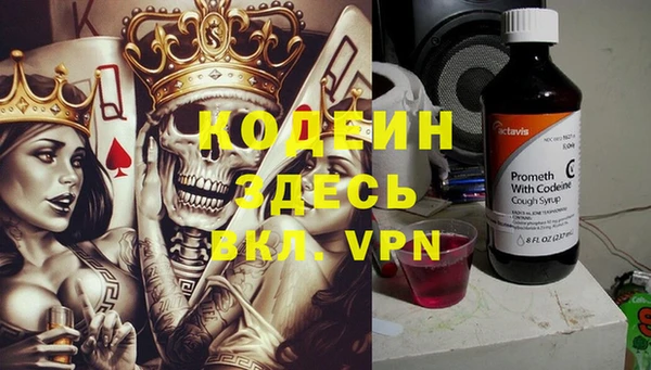 спиды Каменногорск
