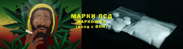 спиды Каменногорск