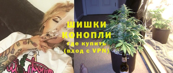 спиды Каменногорск