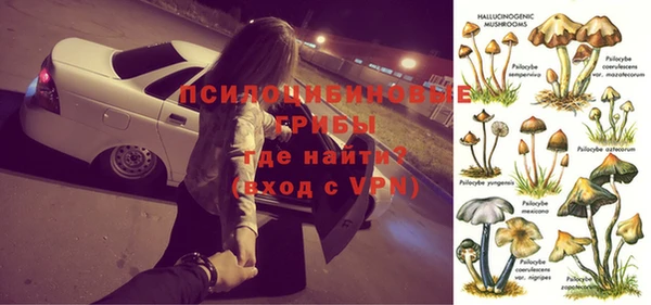 спиды Каменногорск